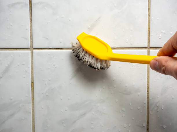 Best Certified Mold Removal  in Cape Coral, FL