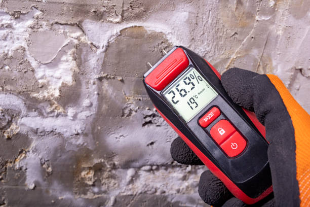Best Local Mold Removal Service  in Cape Coral, FL